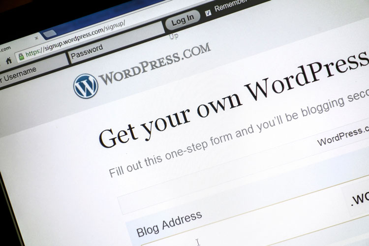 wordpress