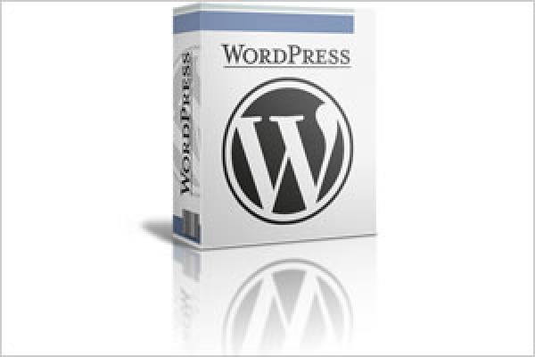 wordpress plugin